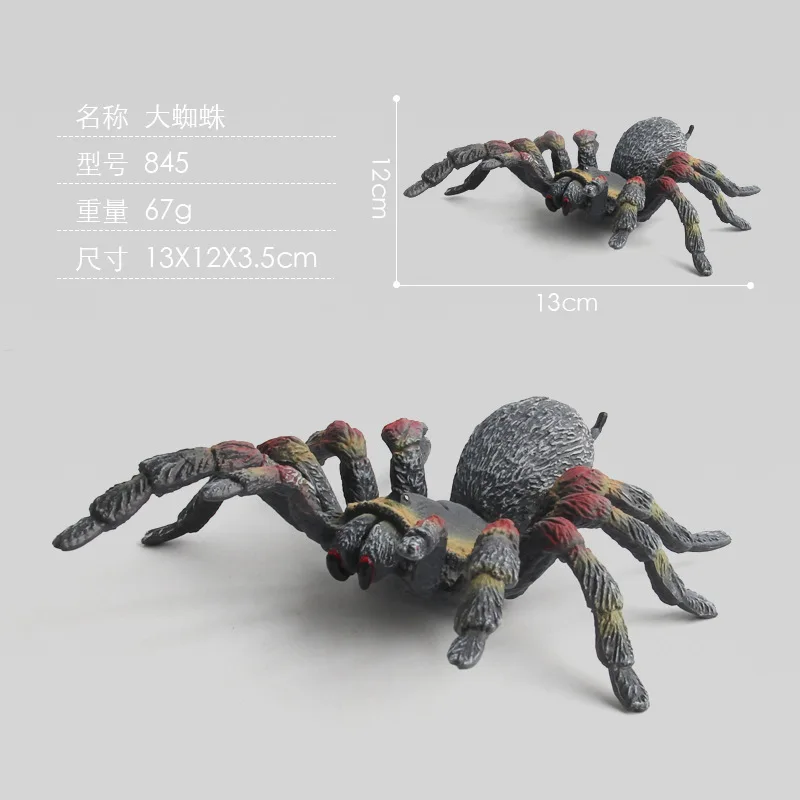 Simulation Animals Новая модель моделирования пластиковых животных лысый орел насекомое Жук паук биолога биология обучающая игрушка украшение анимальные - Цвет: Simulation Animals