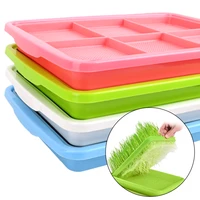 growing wheat seedlings nursery pots plate double layer bean sprouts seedling tray 1 piece home garden planting dishes