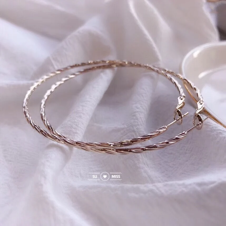 Free Shipping Gold Silver Color Round Hoop Earrings For Women Big Circle Loop Earring Twisted Geometric Earings Metal Jewellery | Украшения