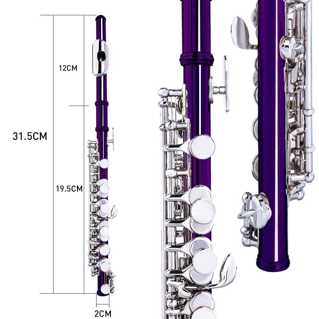 Excellent Nickel Plated C Key Piccolo Purple Color W/ Case Cleaning Rod And Cloth And Gloves Cupronickel Piccolo Set enlarge