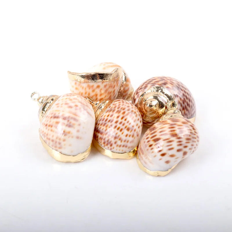 5 шт. декоративные ракушки для аквариума пляжа | Дом и сад