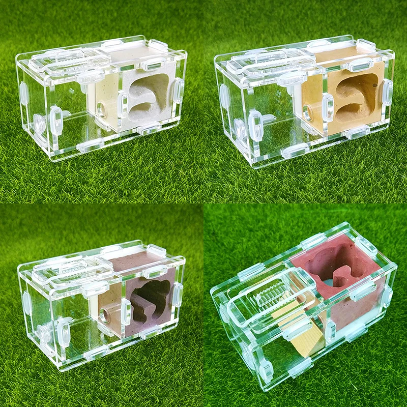 Beautiful Reptile Terrarium Ant Farm Acrylic and Gypsum Ant Breeding Hobby Insect Supplies Unique Gifts