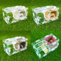 beautiful reptile terrarium ant farm acrylic and gypsum ant breeding hobby insect supplies unique gifts
