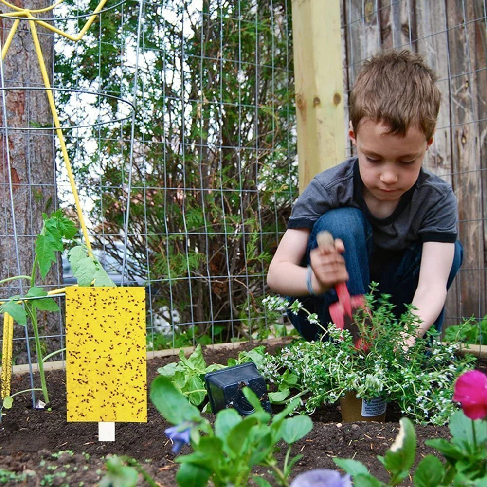 50 Упаковок Липких Полосок Для Борьбы С Вредителями Белые Ловушки Личин И Жуков