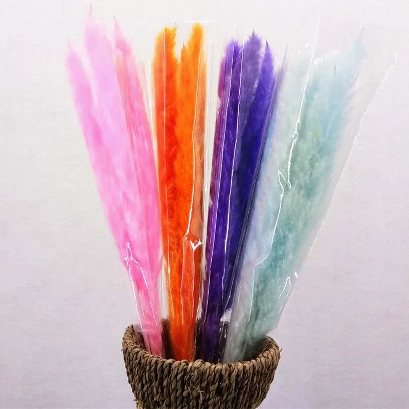 15 шт. натуральные сухие небольшой пампасной травы Phragmites Communis свадебный букет от 40