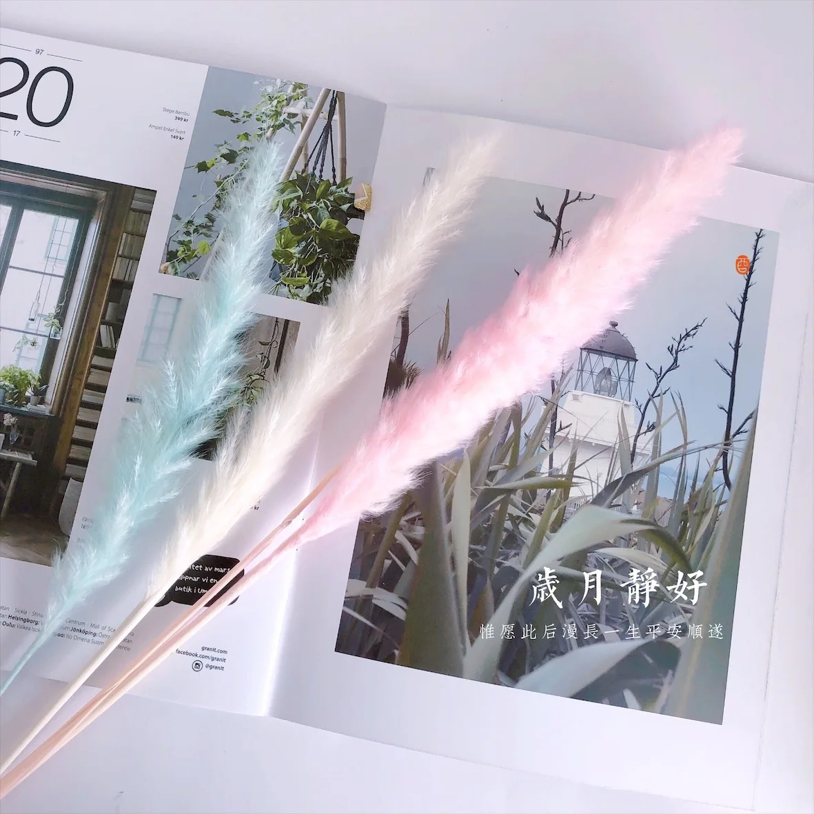 Сушеные цветы Reed Pink Pampas трава цветочный магазин украшение реквизит для
