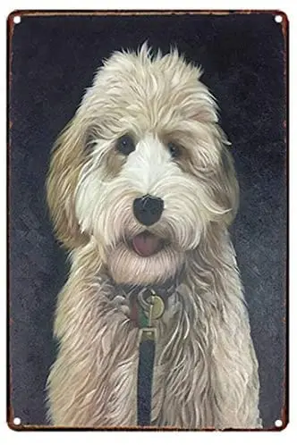 

LZATPD SLALL Cartoon 20x30cm Retro Street Sign Household Metal Tin Sign Bar Cafe Car Motorcycle Garage Decoration