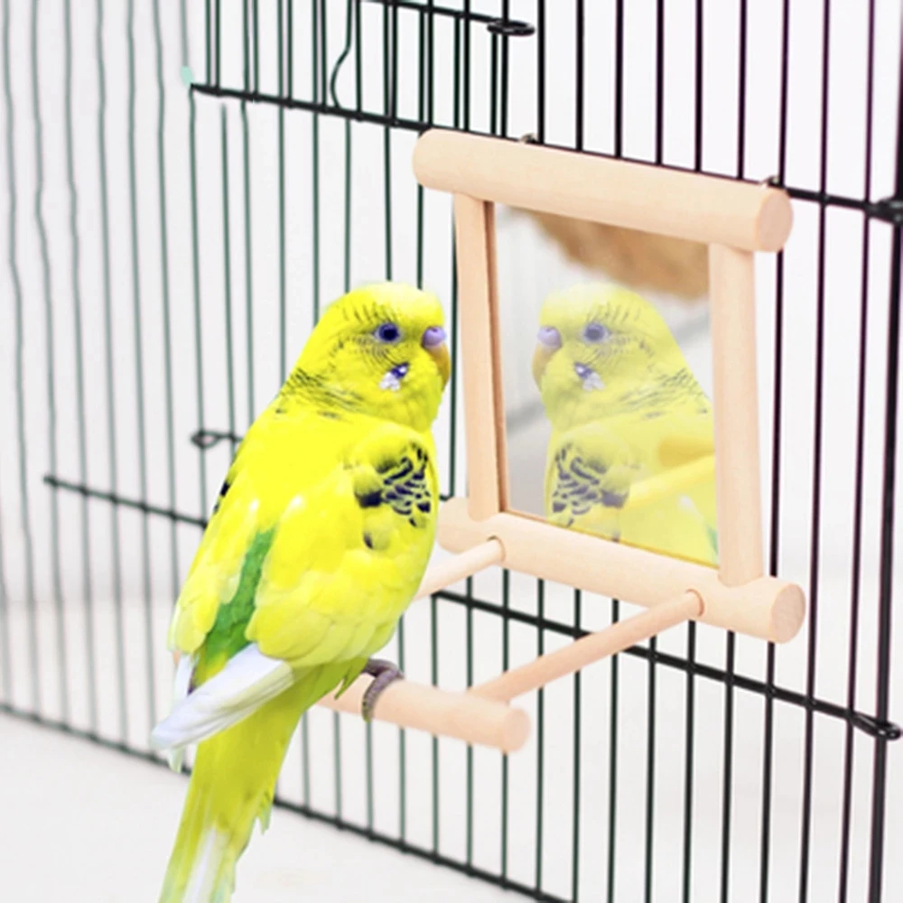 

Bird Mirror With Perch, Bird Perch Mirror Toy Stand Bird Toy For Parrot Parakeets Cockatiels Cage Pet Supplies New