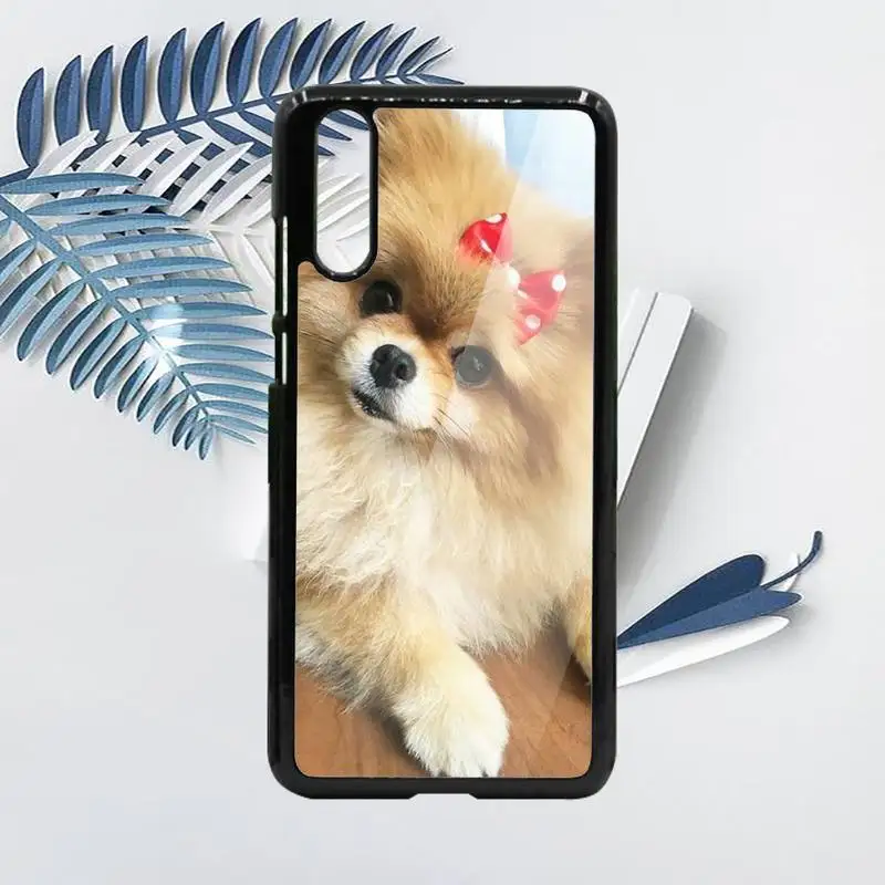 

Pomeranian Phone Case For Samsung galaxy S note 8 9 20 10 e lite2019 plus pro ultra Hard PC