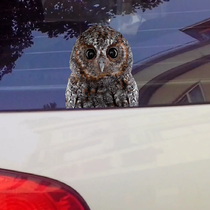 

Автомобильные забавные наклейки s и виниловые наклейки Наклейка на мотоцикл крутая Сова Птицы Предупреждение ющий знак царапины для поло гольф подходит и так далее