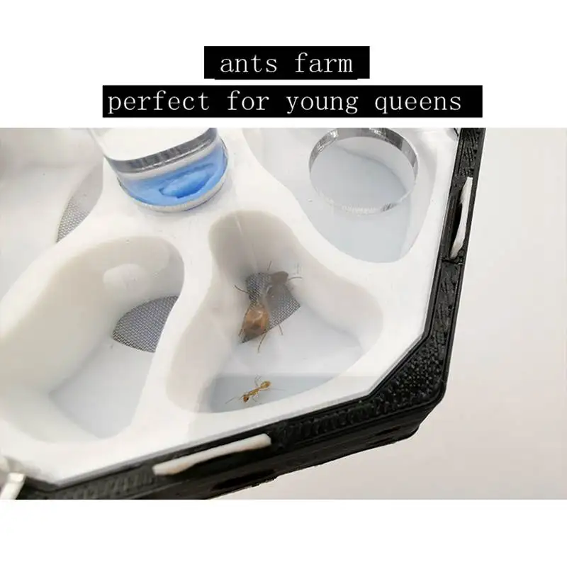 Муравьиная ферма продукт 3D принтер с трубкой чтобы остановить воду|Товары для
