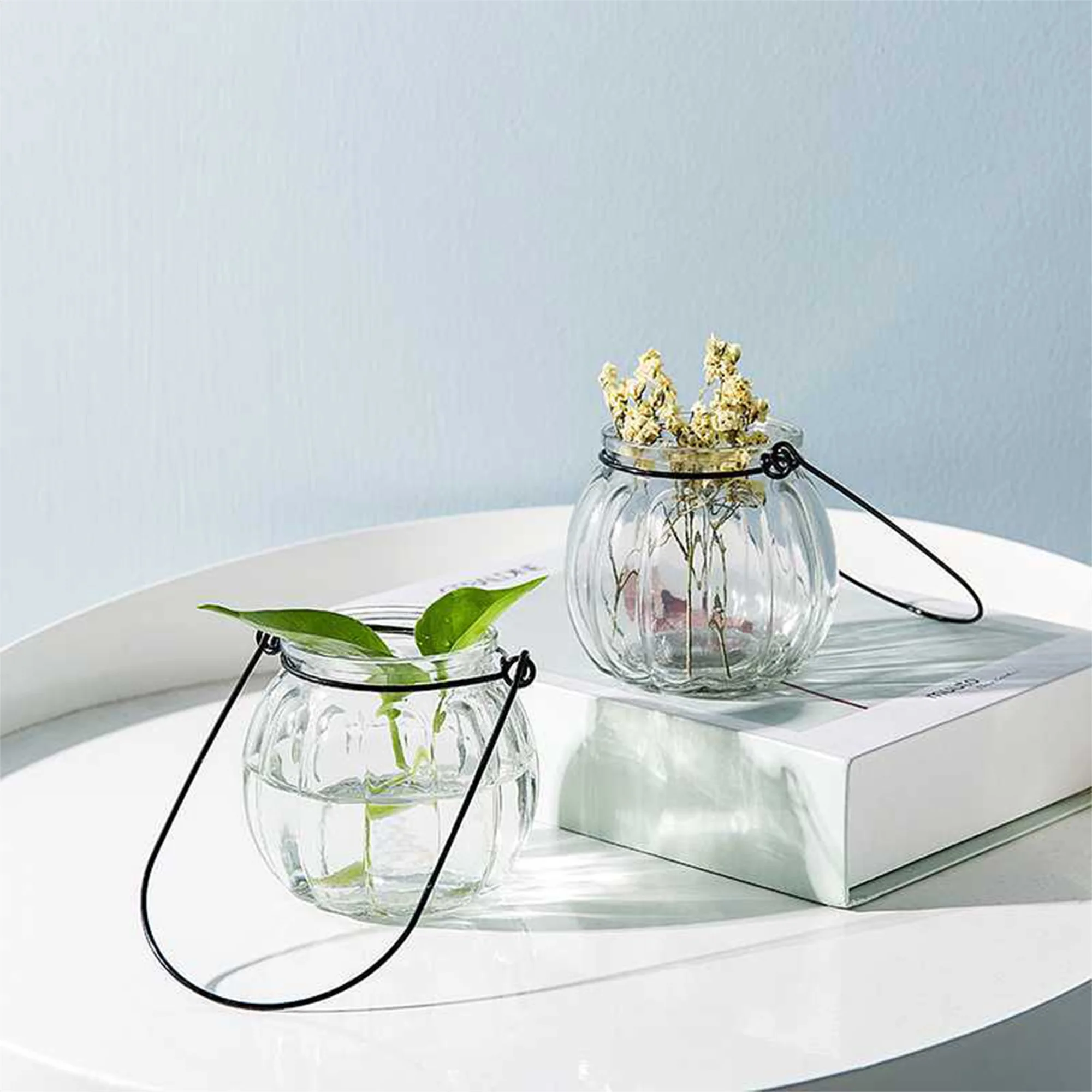 

2021 New Hot Fashion Flower Hanging Vase Glass Planter Plant Terrarium Container Garden Home Wedding Decor