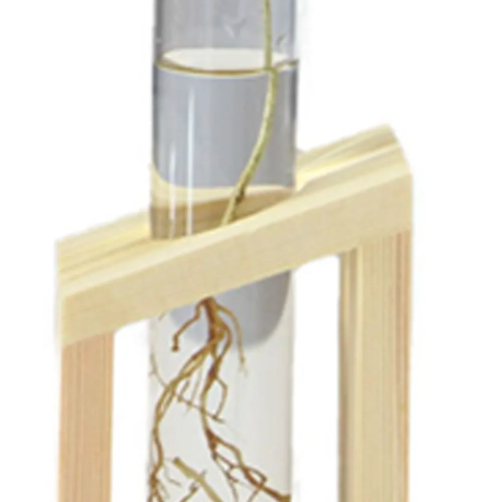 

Подставка для цветов, деревянная витрина, деревянная ваза, стеклянная красивая ваза для цветов