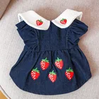 Джинсовая юбка для маленьких собак Midum, платье для кошки с клубникой, зимняя одежда для домашних питомцев, платье для принцессы, наряд для пуделя