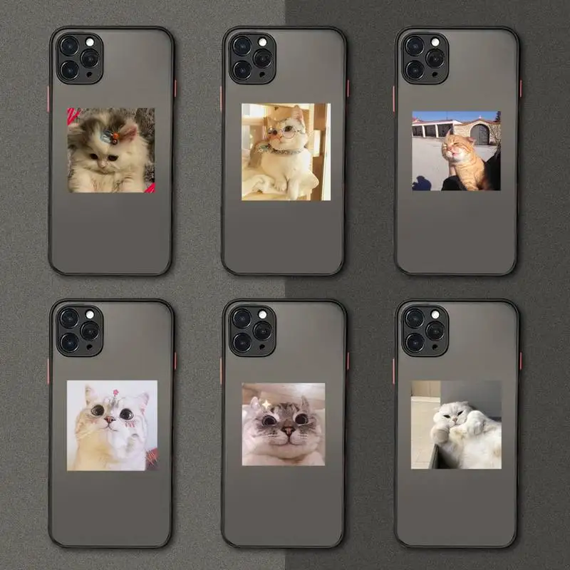 

Cute aesthetics Cat Coque Phone Case matte transparent For iphone 7 8 11 12 plus mini x xs xr pro max cover