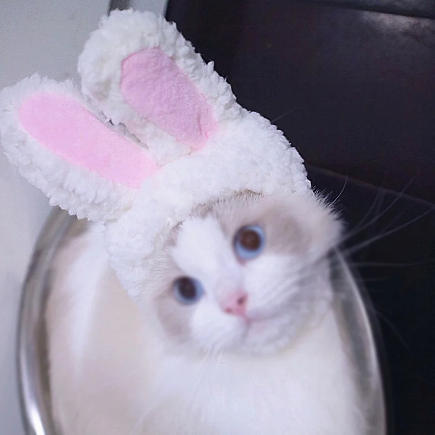 Белая шапка для собак и кошек плюшевая шляпа косплея головной убор маленьких |