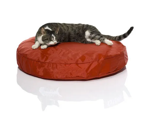 Классическая большая кровать для домашних животных Gelb Cat bean bag уличная