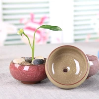 new succulent flower pot 8 color flower ceramics succulent planter mini pot garden flowerpot for home office decor plant pot