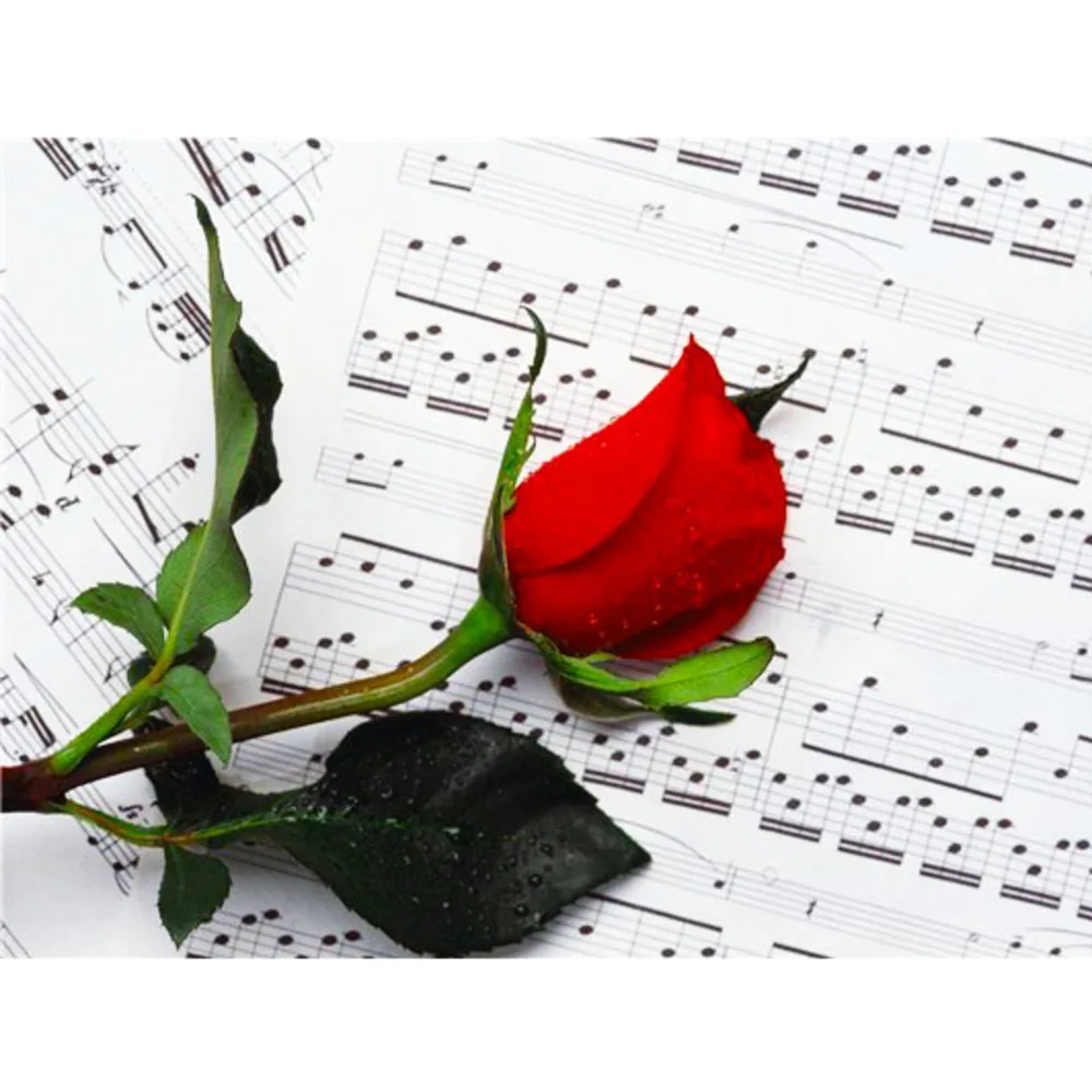 

Набор для вышивки крестиком, хлопковая нить, с принтом