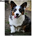 5d diy Алмазная картина полная дрель 