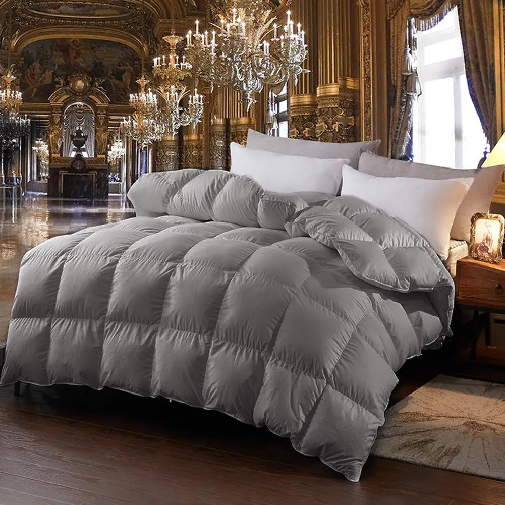 Goose Down Winter Quilt Comforter Blanket Duvet Filling Cotton Cover Duvet Quilt Core Home Hotel Winter Quilt Bedding Washable