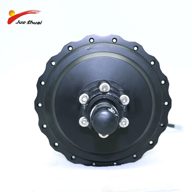 

High Speed 36/48V 250W/350W/500W Electric Bike Direct Drive Front and Rear Wheel Mountain Bike Road Bike Brushless Gear Motor