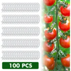 Стебли томаты защищают от изгиба, зажимы для фиксации, помогают садовым растениям быстро расти и здорово, 50100 шт.