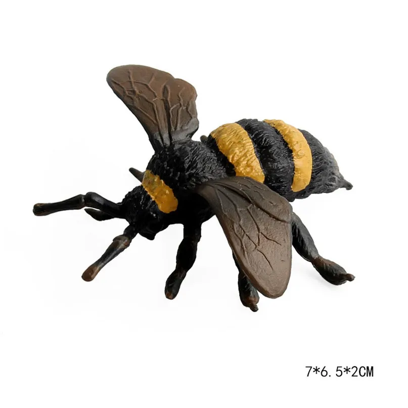

Insect Model Simulation Action Figure Educational Bee Beetle Butterfly Grasshopper Animal Toy PVC for Child Kids Gift