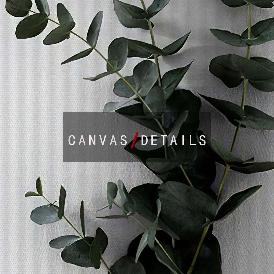 Белая Бриллиантовая ветка эвкалипта Картина на холсте настенные художественные