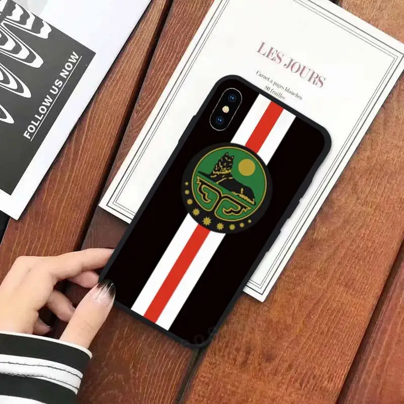 

Chechnya fashion flag pattern luxury high quality Phone Case for iPhone 11 12 mini pro XS MAX 8 7 6 6S Plus X 5S SE 2020 XR