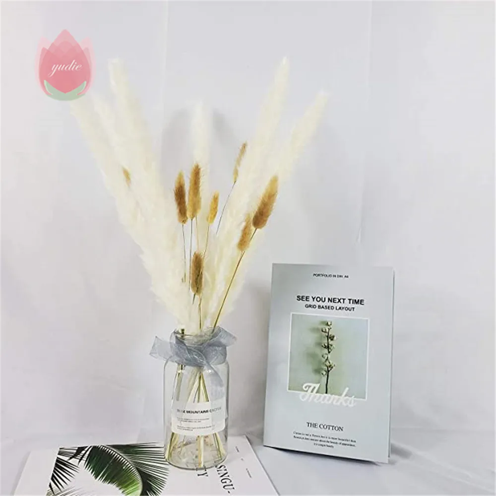 Натуральные сушеные цветы зайцехвост трава эвкалипт букет красочных цветов Lagurus