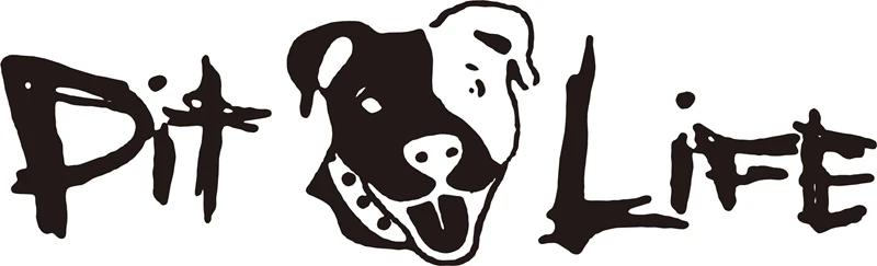 

2020 NEW Decal Sticker For Car Window, Laptop And More