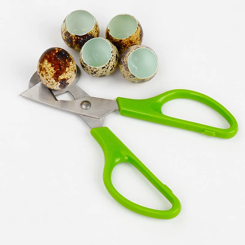 

Bird Tool Cracker Quail Egg Pigeon scissor Cutter Blade Clipper Kitchen Cigar Opener Kitchen Tools