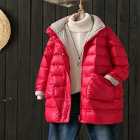 2020 new net red original korean casual loose large size mid length stand up collar thick white duck down down jacket women
