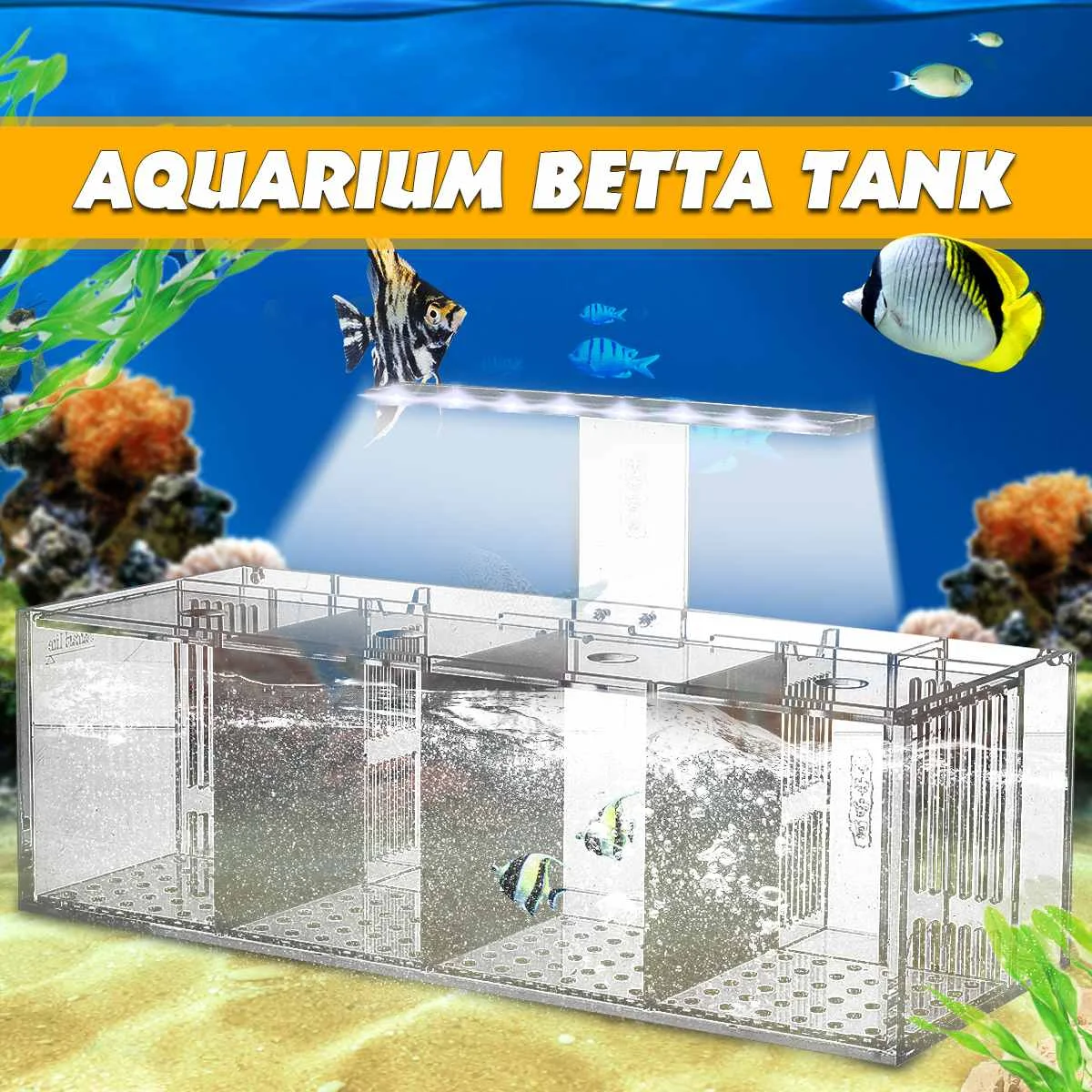 

220V Creative Betta Fish Bowl Breeding Incubator Isolation Box Water-free Desktop Small Acrylic Ecological LED Aquarium Tank