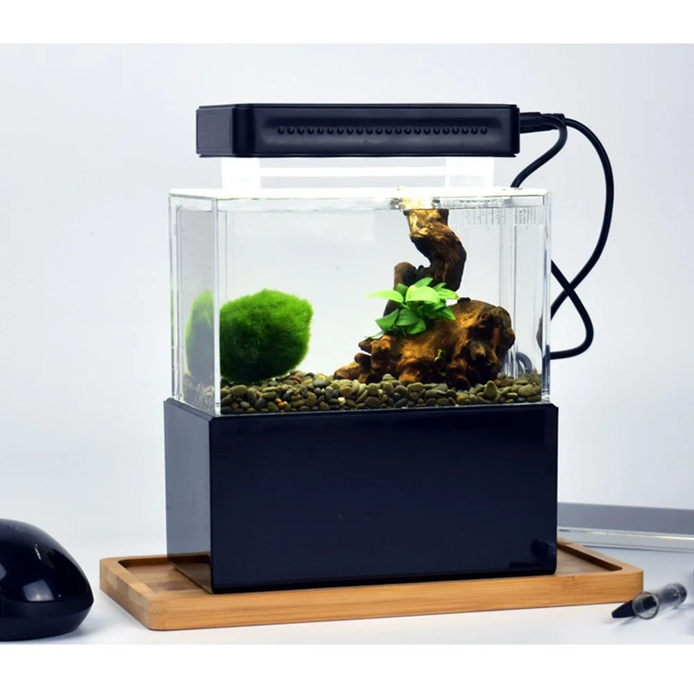 Tanque de Peixes Bacia com Água Decorações do Agregado Desktop Aquário Marinho Fliter Luz Usb Bomba ar Familiar Led