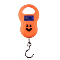 50kg x10g mini digital scale for fishing luggage travel weighting steelyard hanging portable electronic hook kitchen weight tool