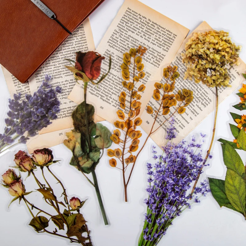 

3 шт. винтажная Гортензия Роза большой размер цветок наклейпосылка для домашних животных упаковка Сделай сам Дневник Украшение Наклейка ал...