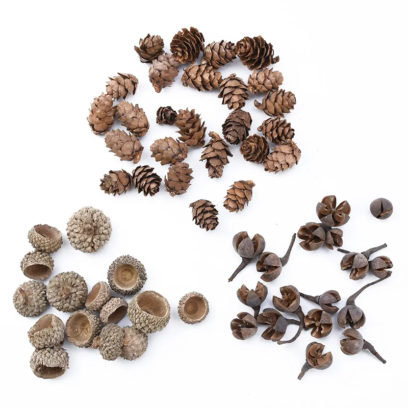 

20pcs Natural Dried Plants Pine Cone Acorn Wholesale Artificial Flower For Home Christmas DIY Garland Wreath Wedding Decoration