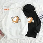 Повседневная Толстовка с принтом Сиба-ину, свитер для отдыха в стиле Харадзюку на осень и зиму