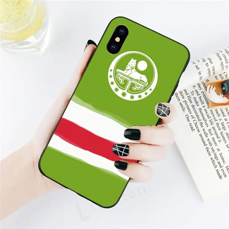 

Chechnya flag painting Phone Case for iPhone 11 12 pro XS MAX 8 7 6 6S Plus X 5S SE 2020 XR