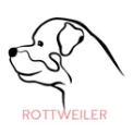 ROTTWEILER Собака портрет Персонализированные Имя ожерелье Собака ювелирные изделия любимое животное подарок для мамы собаки породы ожерелье PN305 - Окраска металла: ROTTWEILER