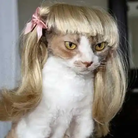 [MPK Store] Blond Cat Wig, Pet Wig, Funny Cat Wig