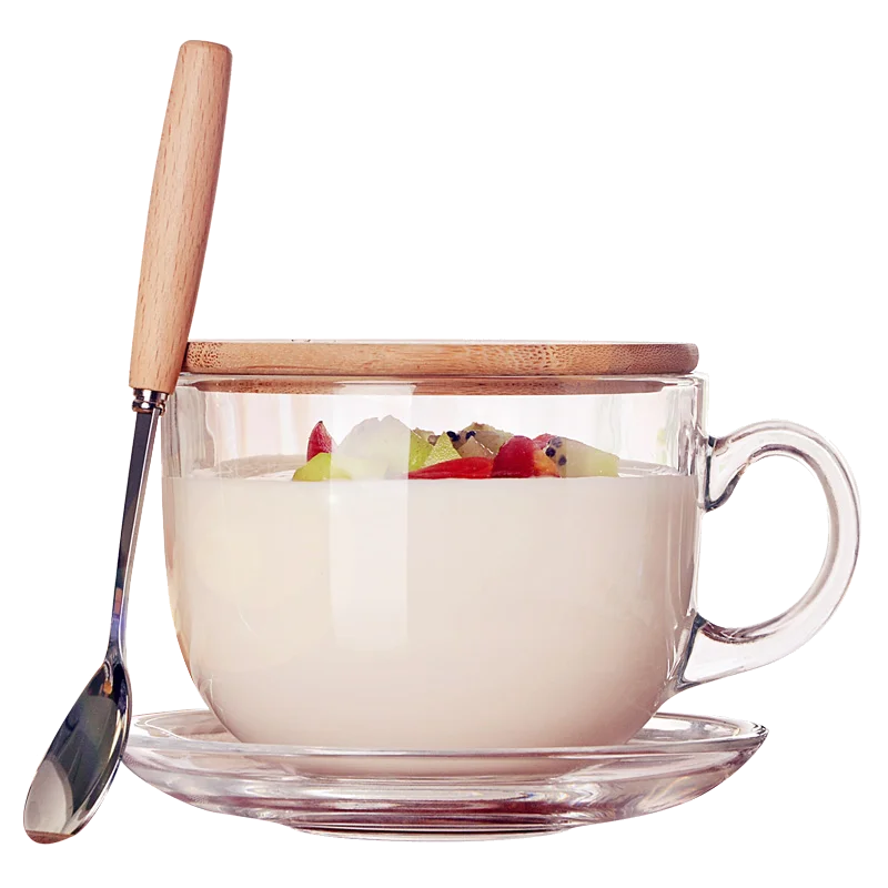 

480ml Heat Resistant Double Wall Glass Coffee Cup Milk Mug Transparent Round Kungfu Tea Cup With bamboo cover and spoon