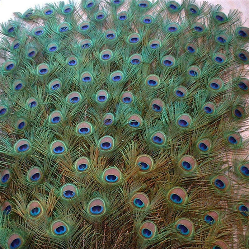20 Pcs/lot Natural Peacock Feathers for Crafts Party Decoration 25-32CM DIY Jewelry Home Vase Plumas Accessories