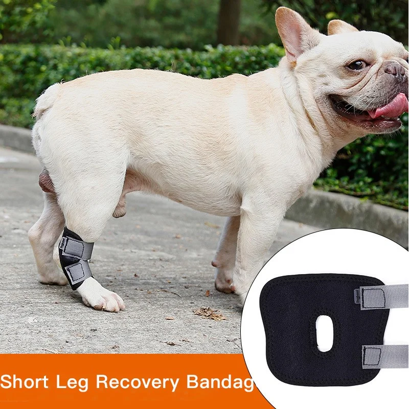 

Dog Canine Rear Leg Knee Brace Hock Joint Wrap For Heals And Prevents Injuries And Sprains Helps With Loss Of Stability