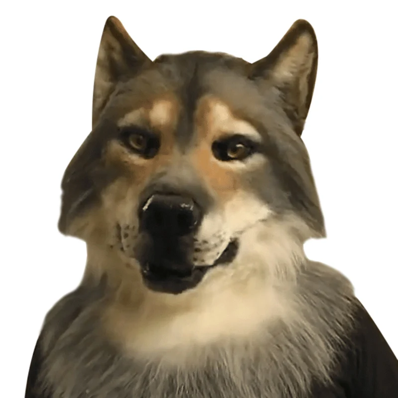 Головной убор с изображением животных орлы Хаски собака Черный кот головной на