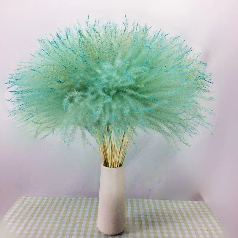 10 шт. натуральная пампасная Трава Декор Цветы высушенные растения Свадебные