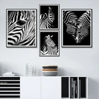 Черно-белые скандинавские фотографии зебры, Современная Скандинавская фотография, Картина на холсте для украшения дома