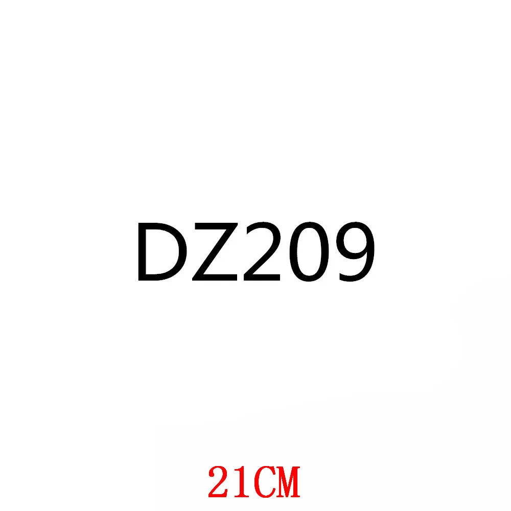 

DZ209-21
